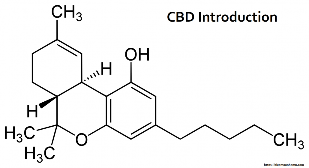 Everything You Wanted to Know About CBD and Were Afraid to Ask